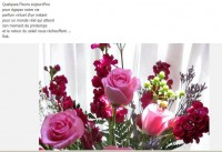 /album/galerie-de-photos-liens2/mes-cc-5-jpg/